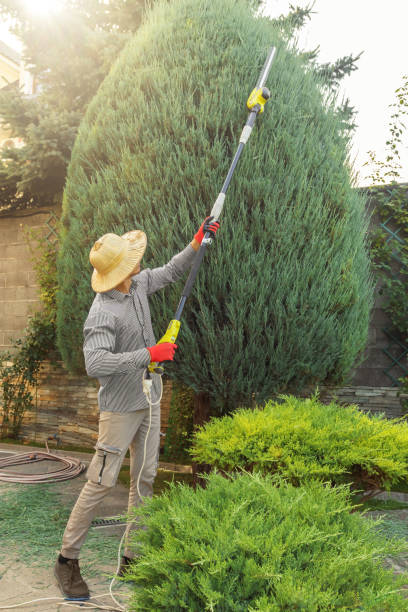 Why Choose Our Tree Removal Services in Landing, NJ?